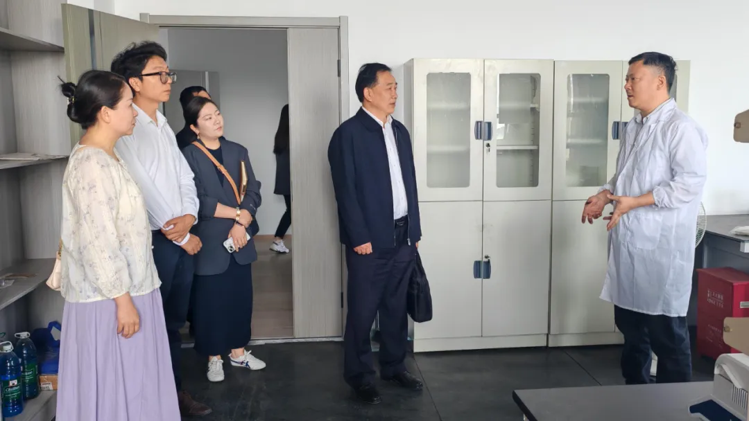 科創(chuàng)城 科創(chuàng)城